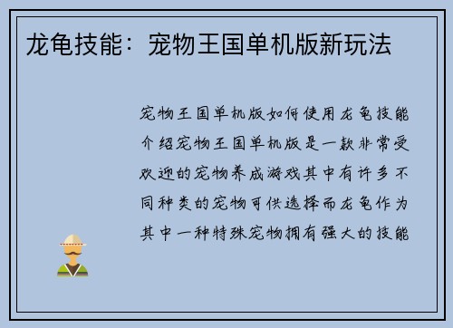 龙龟技能：宠物王国单机版新玩法